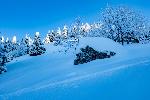 /Ski/2021/Images/2279/P1050466Icon.jpg