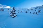/Ski/2021/Images/2279/P1050471Icon.jpg