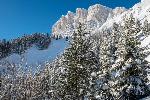 /Ski/2021/Images/2283/P1050555Icon.jpg