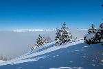 /Ski/2021/Images/2283/P1050615Icon.jpg