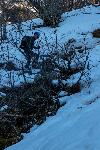 /Ski/2021/Images/2286/P1050724Icon.jpg