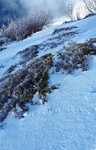/Ski/2021/Images/2386/Img_002Icon.jpg