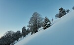 /Ski/2021/Images/2391/Img_000Icon.jpg
