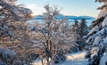 /Ski/2021/Images/2391/Img_001Icon.jpg