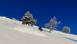 /Ski/2021/Images/2391/Img_009Icon.jpg