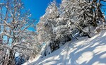 /Ski/2021/Images/2391/Img_012Icon.jpg