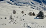 /Ski/2021/Images/2391/Img_014Icon.jpg