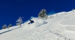 /Ski/2021/Images/2391/Img_015Icon.jpg