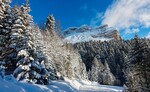 /Ski/2021/Images/2391/Img_019Icon.jpg