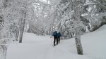 /Ski/2021/Images/2392/Img_004Icon.jpg