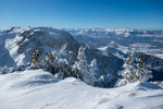 /Ski/2021/Images/2483/P1070363Icon.jpg