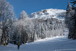 /Ski/2021/Images/2484/P1070378Icon.jpg