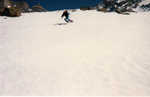 /Ski/2021/Images/2490/97-04-08Icon.jpg