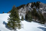 /Ski/2022/Images/2409/Img_000Icon.jpg