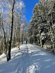 /Ski/2022/Images/2409/Img_002Icon.jpg