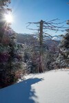/Ski/2022/Images/2409/Img_003Icon.jpg
