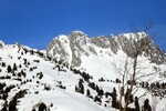 /Ski/2022/Images/2410/Img_005Icon.jpg