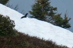 /Ski/2022/Images/2438/Img_002Icon.jpg
