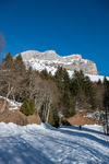 /Ski/2022/Images/2487/P1080189Icon.jpg