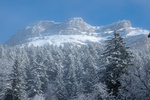 /Ski/2022/Images/2529/P1100044Icon.jpg