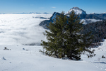 /Ski/2022/Images/2529/P1100055Icon.jpg