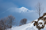 /Ski/2023/Images/2540/_1120052Icon.jpg