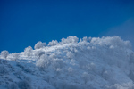 /Ski/2023/Images/2540/_1120054Icon.jpg