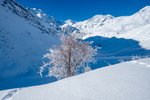 /Ski/2023/Images/2540/_1120058Icon.jpg