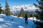 /Ski/2023/Images/2544/_1120311Icon.jpg