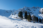 /Ski/2023/Images/2548/_1120496Icon.jpg