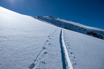 /Ski/2023/Images/2548/_1120526Icon.jpg