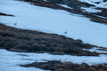 /Ski/2023/Images/2554/_1120822Icon.jpg