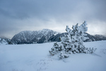 /Ski/2023/Images/2574/_1130304Icon.jpg