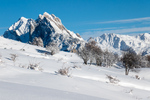 /Ski/2023/Images/2582/_1130438Icon.jpg