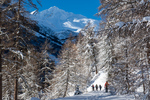 /Ski/2023/Images/2582/_1130441Icon.jpg