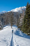 /Ski/2023/Images/2586/_1130601Icon.jpg