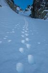 /Ski/2023/Images/2588/_1130719Icon.jpg