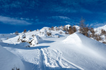 /Ski/2024/Images/2589/_1130764Icon.jpg