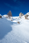 /Ski/2024/Images/2589/_1130768Icon.jpg