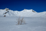 /Ski/2024/Images/2589/_1130776Icon.jpg