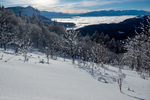 /Ski/2024/Images/2590/_1140006Icon.jpg