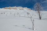 /Ski/2024/Images/2590/_1140008Icon.jpg