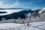 /Ski/2024/Images/2590/_1140010Icon.jpg