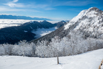 /Ski/2024/Images/2590/_1140011Icon.jpg