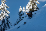 /Ski/2024/Images/2590/_1140016Icon.jpg