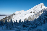 /Ski/2024/Images/2590/_1140049Icon.jpg