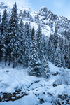 /Ski/2024/Images/2592/P1140131Icon.jpg