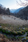 /Ski/2024/Images/2596/_1140407Icon.jpg
