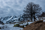 /Ski/2024/Images/2596/_1140468Icon.jpg