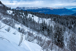 /Ski/2024/Images/2598/_1140536Icon.jpg